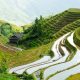 Mengunjungi Teras Sawah Longsheng di China yang Memesona