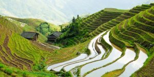 Mengunjungi Teras Sawah Longsheng di China yang Memesona