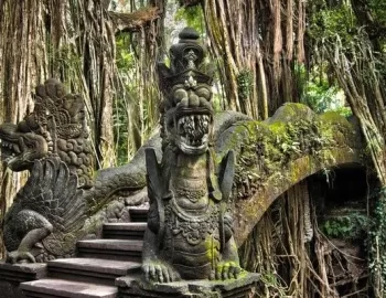 Menjelajahi Monkey Forest, Berinteraksi dengan Monyet dan Menikmati Keindahan Taman Hutan di Bali
