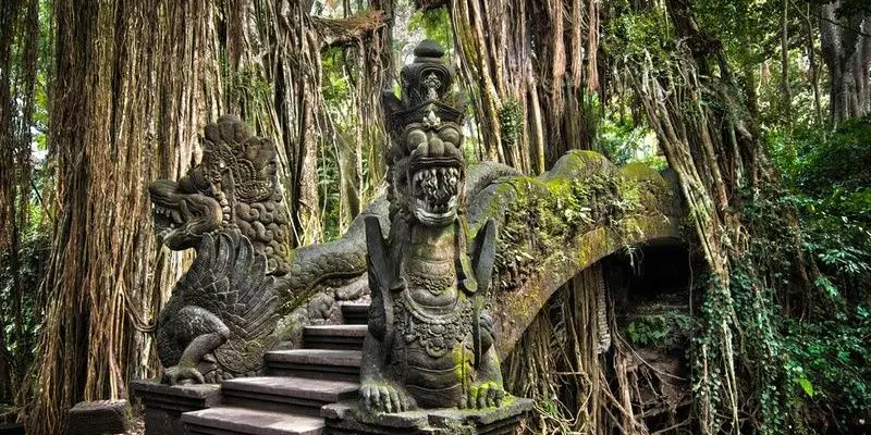 Menjelajahi Monkey Forest, Berinteraksi dengan Monyet dan Menikmati Keindahan Taman Hutan di Bali